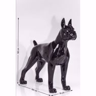 Picture of Toto XL - Black