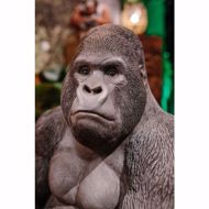 Picture of Gorilla Side Object XL