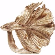 Picture of Gold Betta Fish - Small
