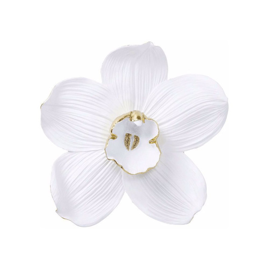 图片 Orchid 54 Wall Decoration - White