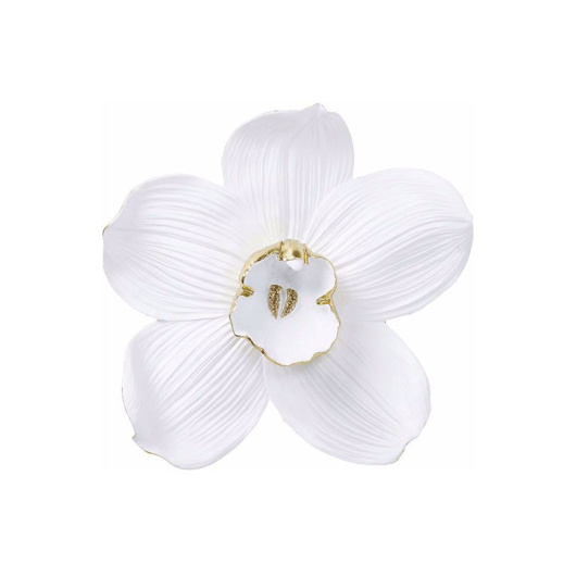 Image de Orchid 25 Wall Decoration - White