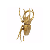 Picture of Atlas Beetle Wall Decoration - Gold