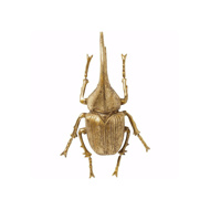 Image sur Herkules Beetle Wall Decoration - Gold