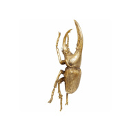 Picture of Herkules Beetle Wall Decoration - Gold