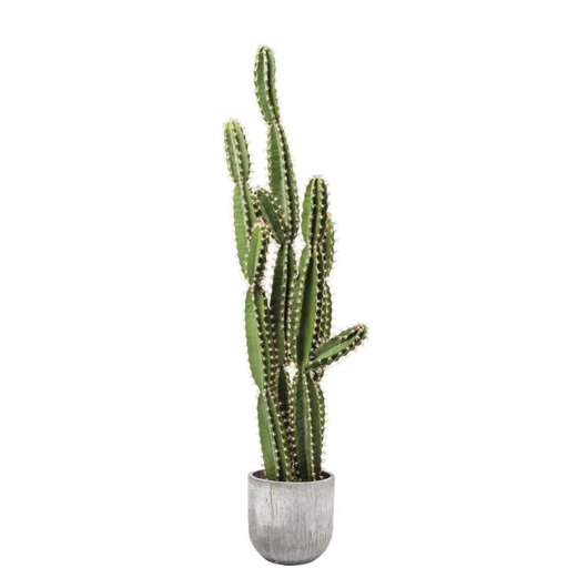 Picture of Cactus Pot Deco Plant 202
