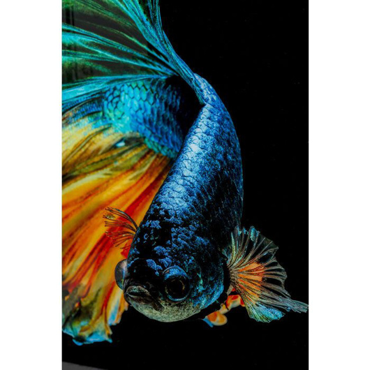 Picture of GLASS PICTURE AQUA QUEEN FISH