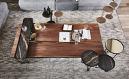 图片 IDEM Coffee Table