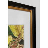 图片 Framed Picture Birds in Jungle