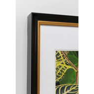 Image sur Framed Picture Birds in Jungle